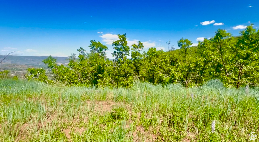 1429  BERRIES WAY Midway, UT 84049