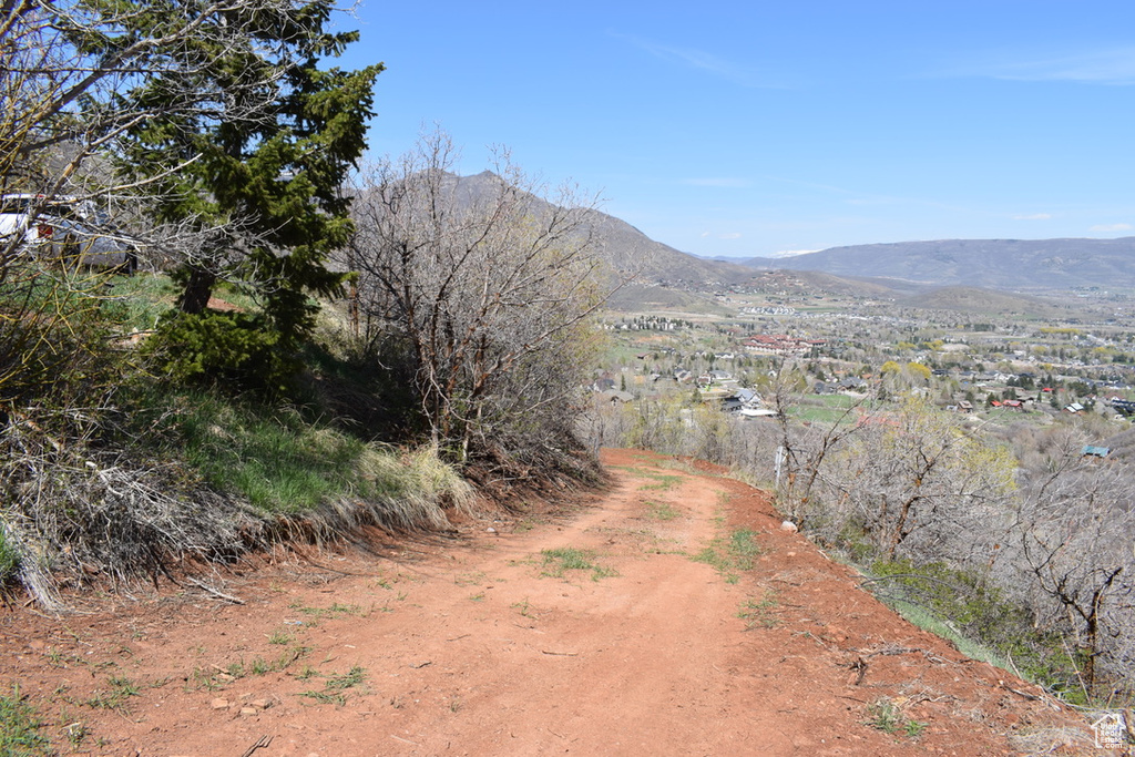 1429  BERRIES WAY Midway, UT 84049