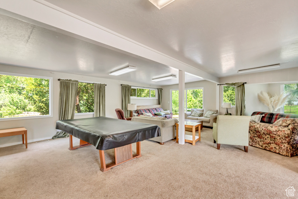 Recreation room featuring light carpet and pool table
