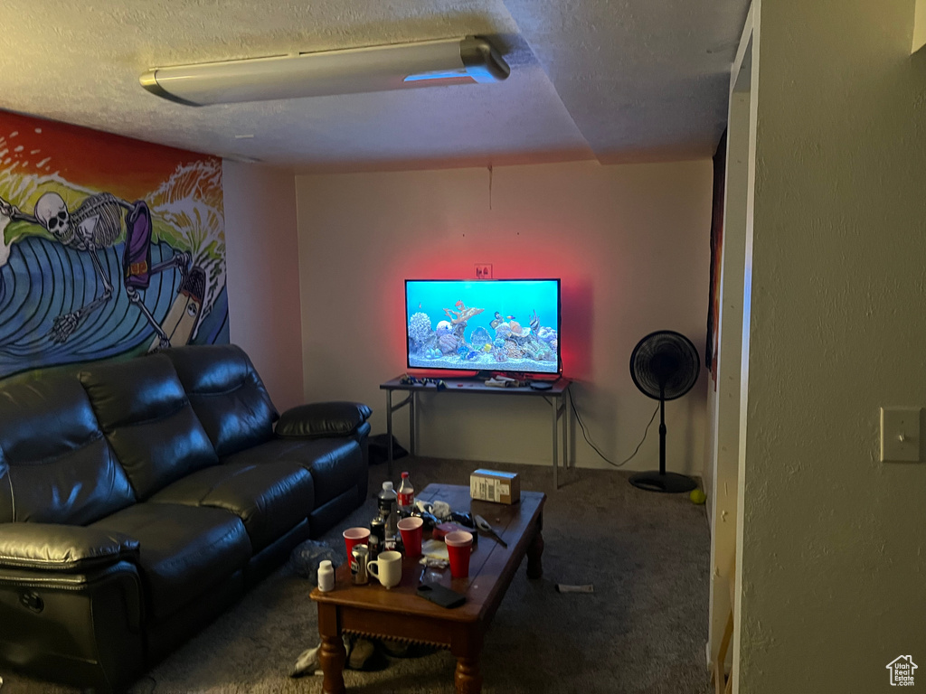 Carpeted living room featuring a textured ceiling