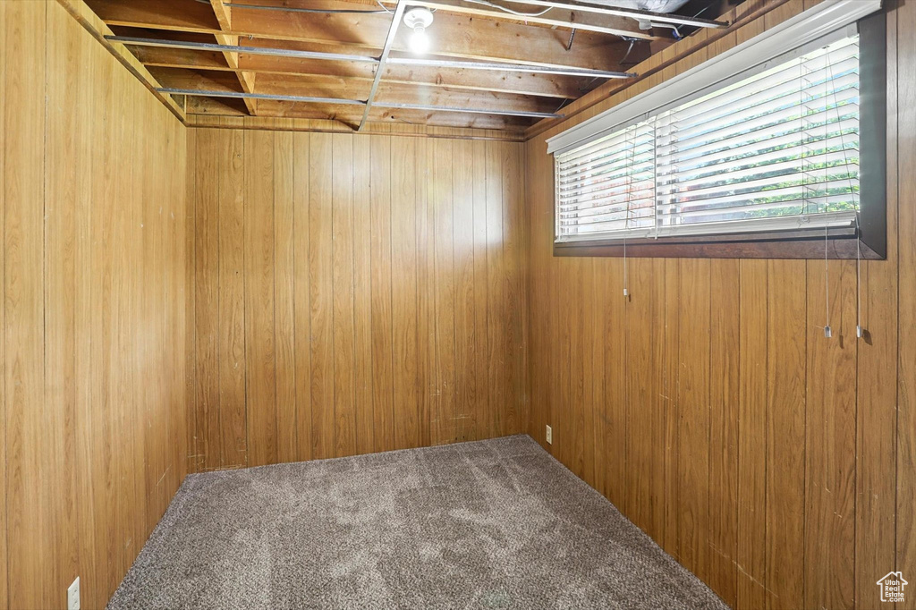 Basement featuring wood walls and carpet flooring