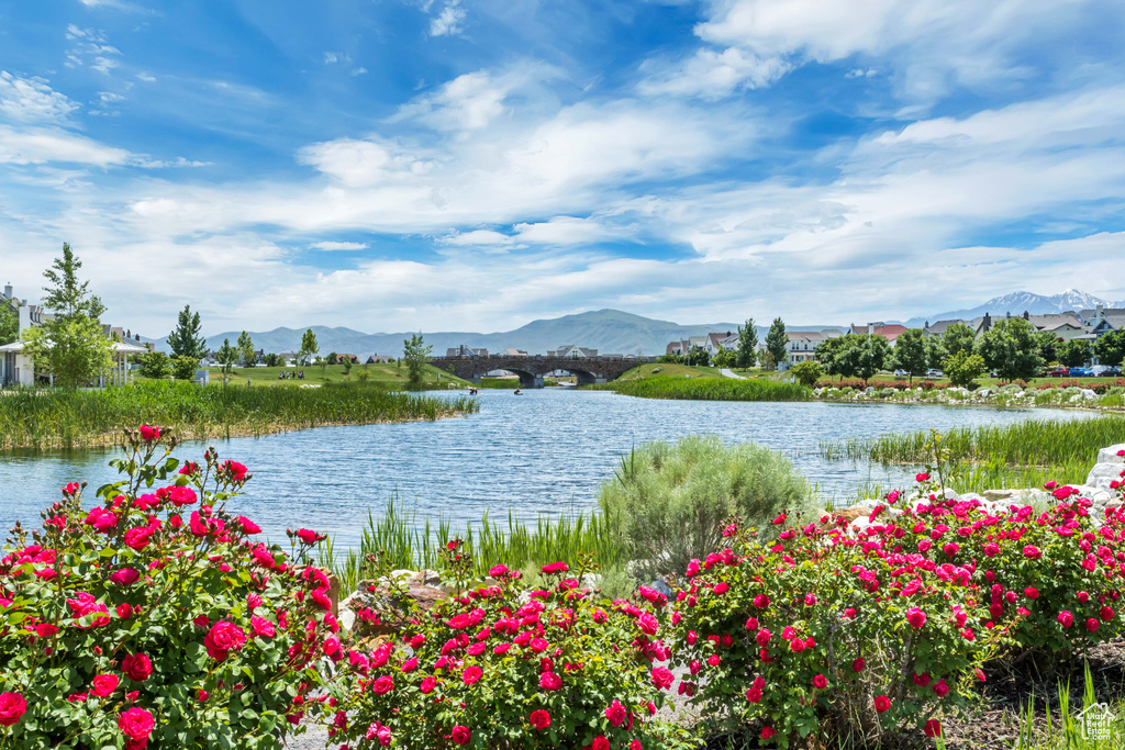 10253 S CLARKS HILL DR South Jordan, UT 84009