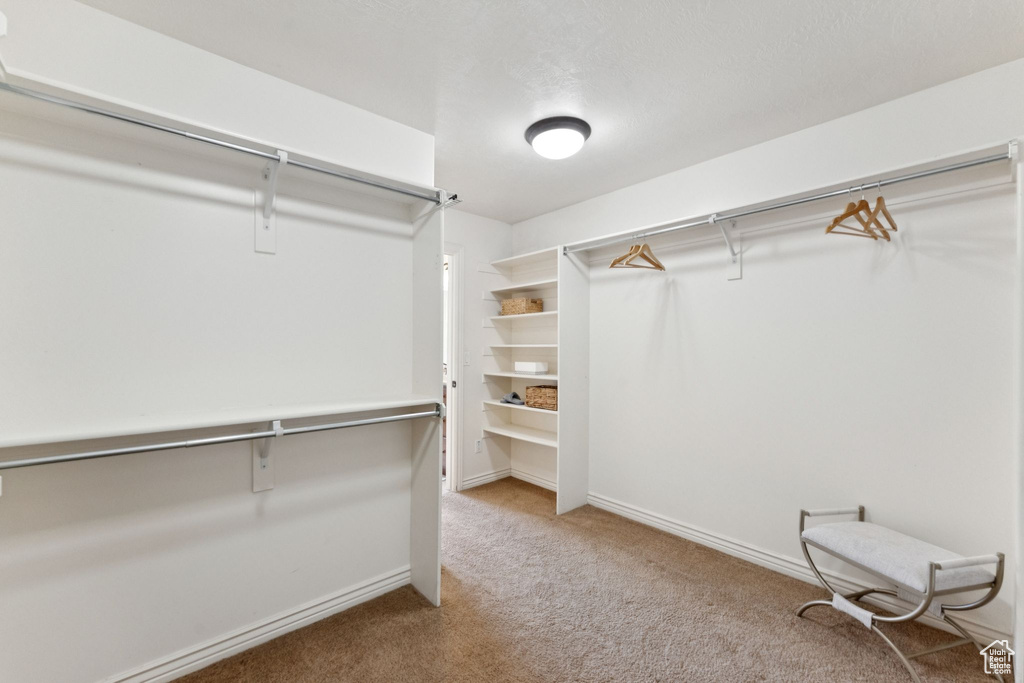 Spacious closet featuring carpet flooring