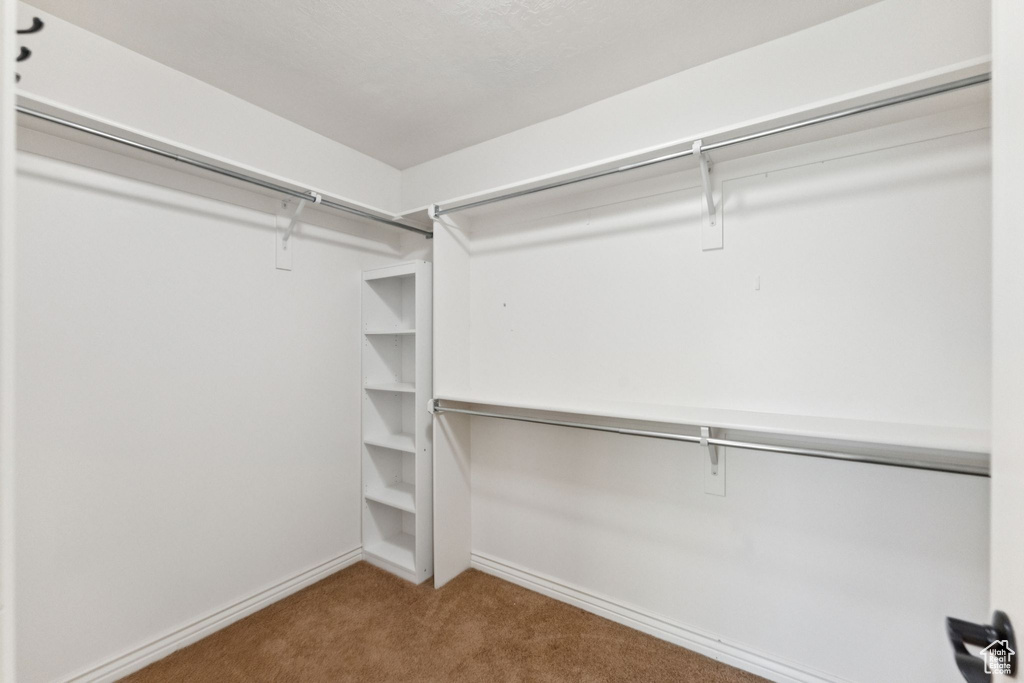 Walk in closet featuring carpet floors