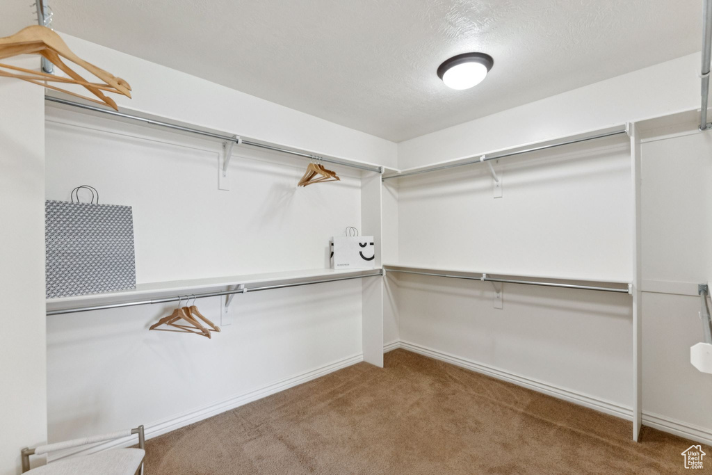 Spacious closet with carpet floors