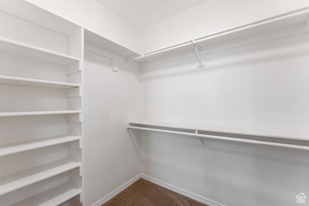 Walk in closet featuring dark colored carpet