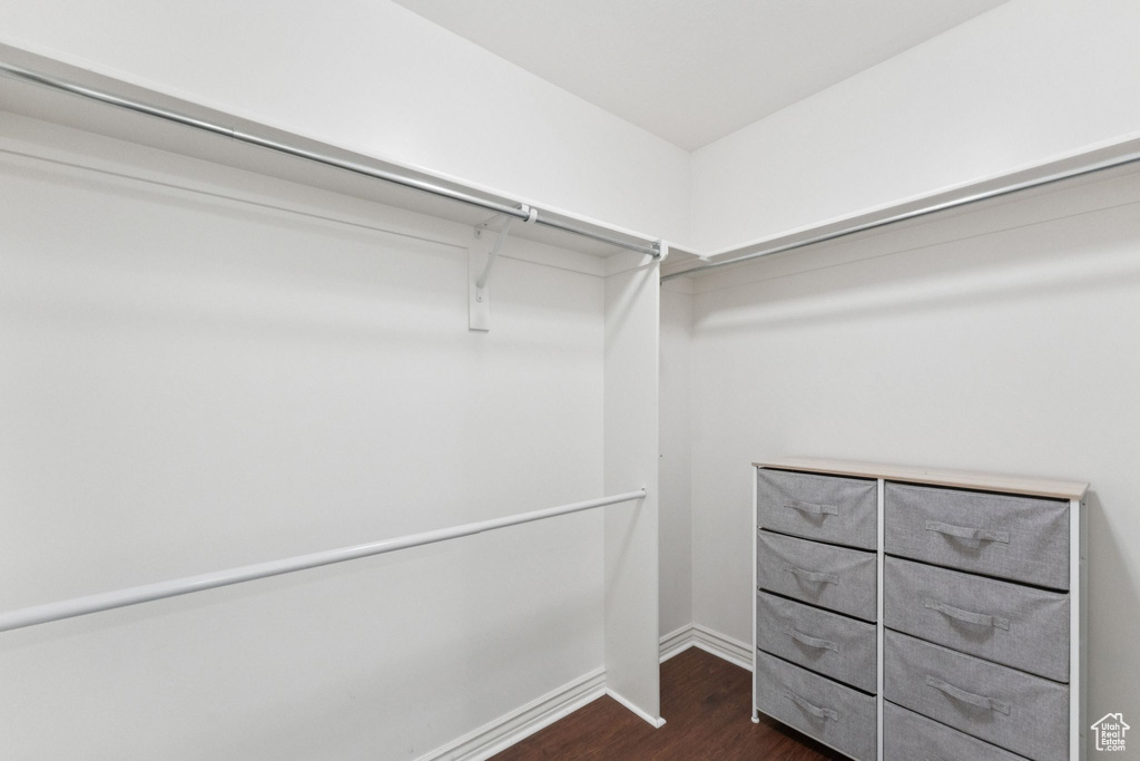 Walk in closet featuring dark wood-style flooring
