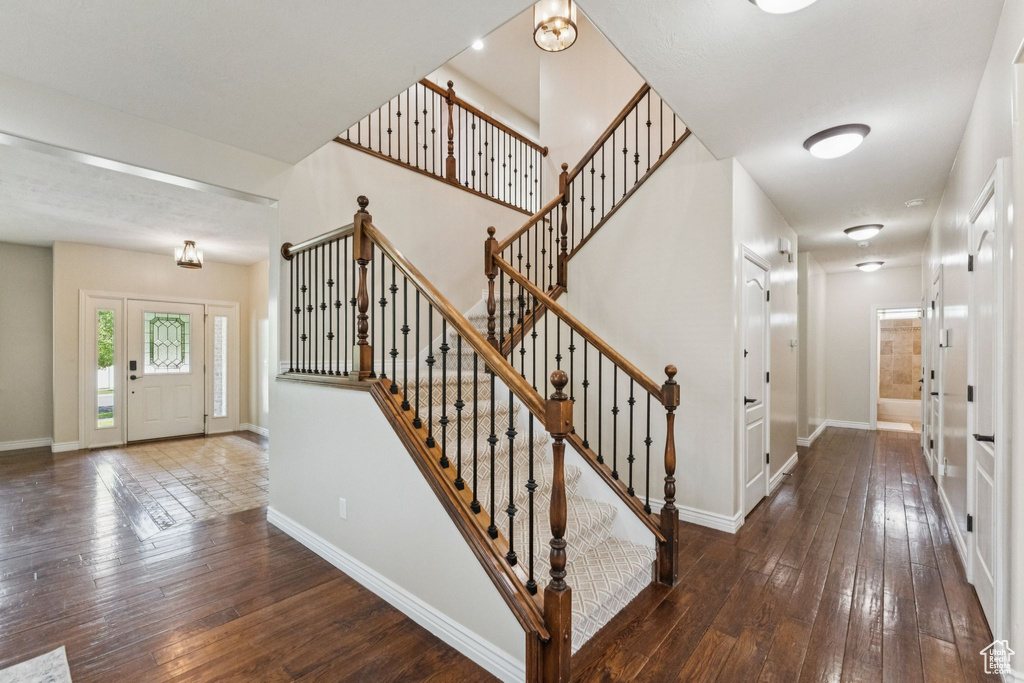 Stairs featuring hardwood / wood-style flooring