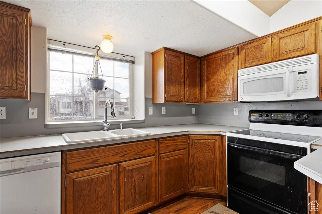 Kitchen featuring white appliances, light countertops, brown cabinetry, and wood finished floors