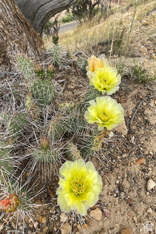  Price, UT 84501