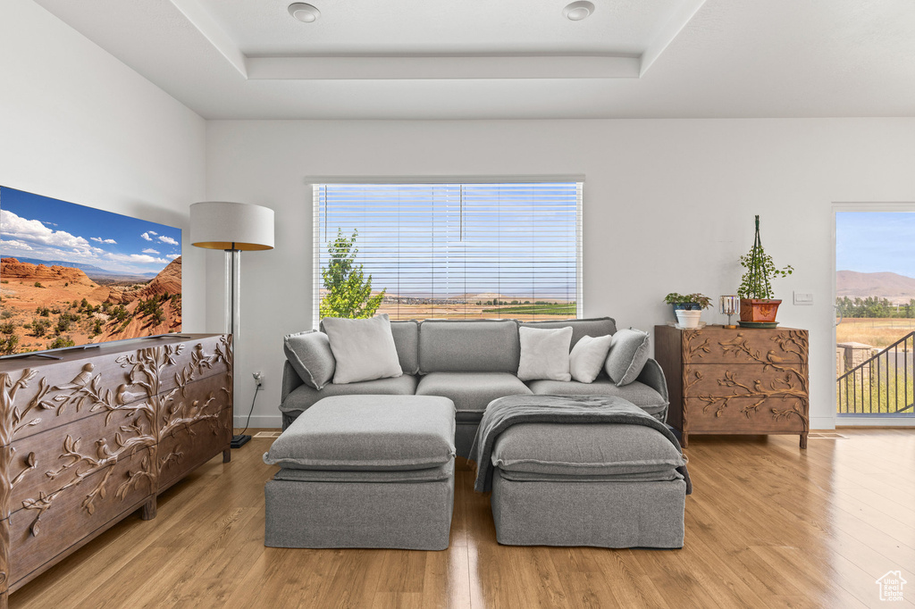 Living room with a raised ceiling, wood finished floors, and plenty of natural light