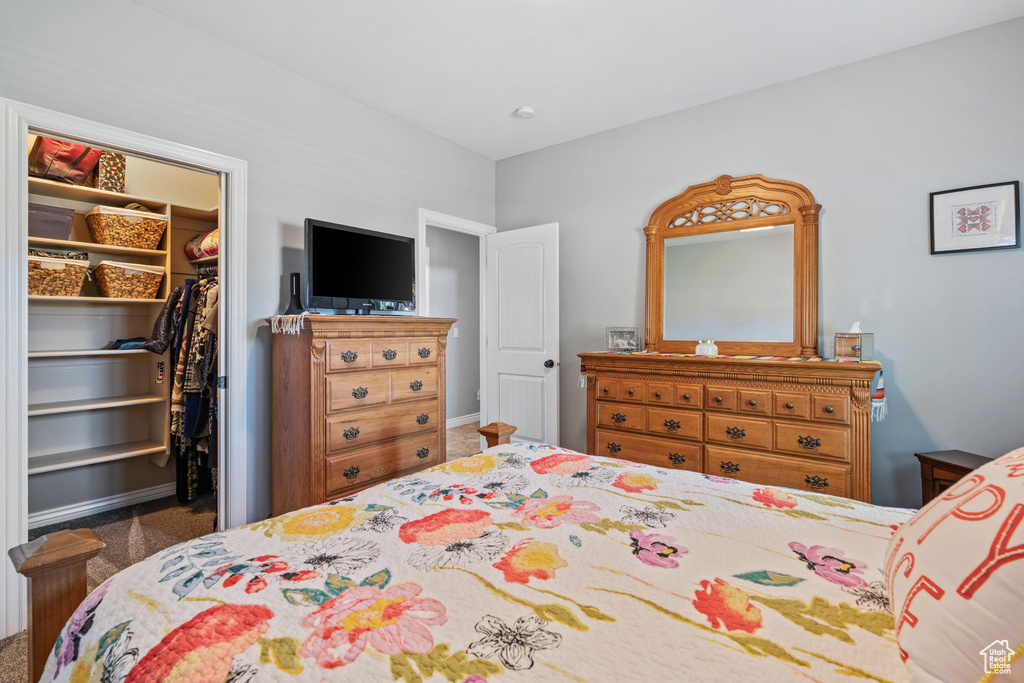 Carpeted bedroom with a walk in closet and a closet