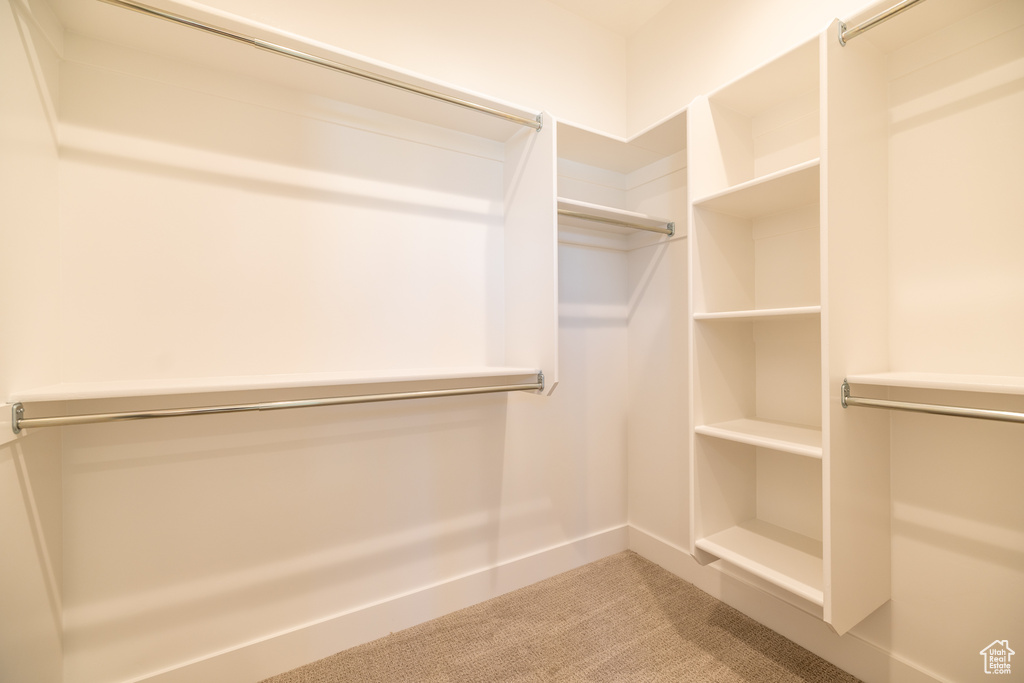 Spacious closet with light carpet