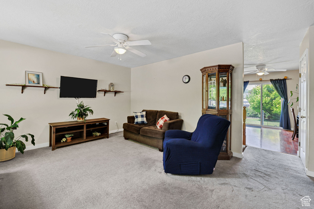 Living room featuring a ceiling fan, carpet flooring, and a textured ceiling