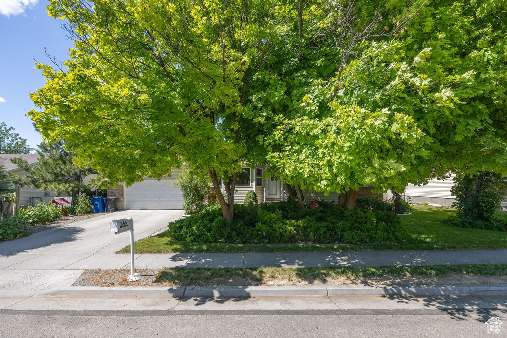 View of property hidden behind natural elements featuring driveway and an attached garage