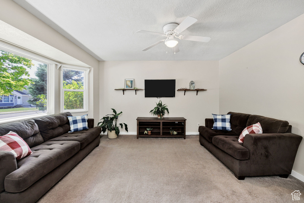 Carpeted living area with ceiling fan and a textured ceiling