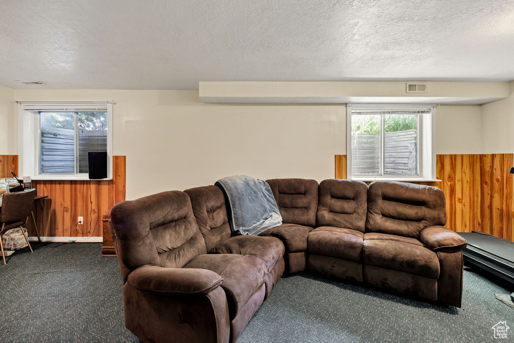Living room featuring carpet, wooden walls, healthy amount of natural light, wainscoting, and a textured ceiling