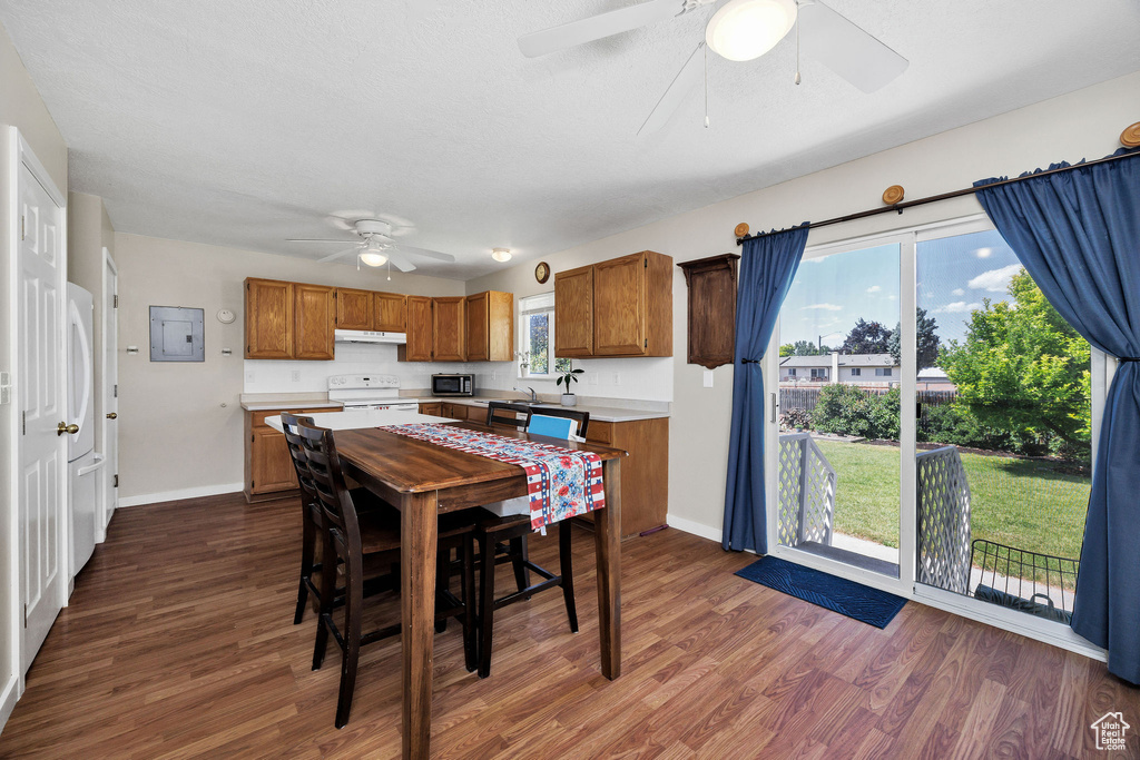 Kitchen featuring electric range, ceiling fan, under cabinet range hood, dark wood-type flooring, and brown cabinets