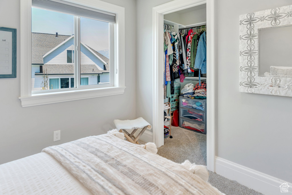 Carpeted bedroom with a spacious closet, a closet, and multiple windows