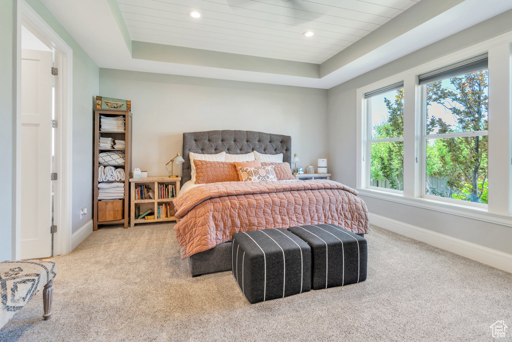 Bedroom featuring carpet flooring, a tray ceiling, and recessed lighting