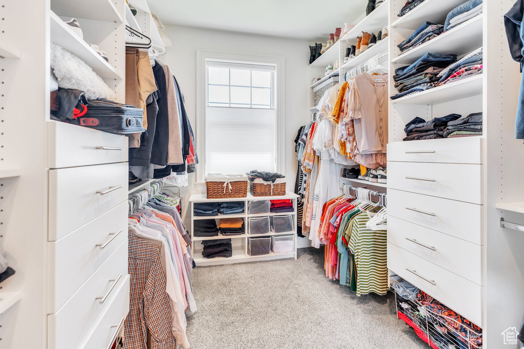 Spacious closet featuring carpet flooring