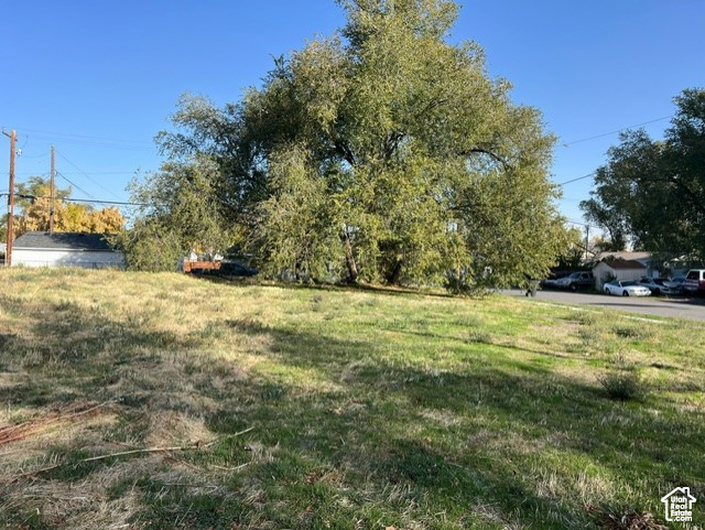 View of grassy yard