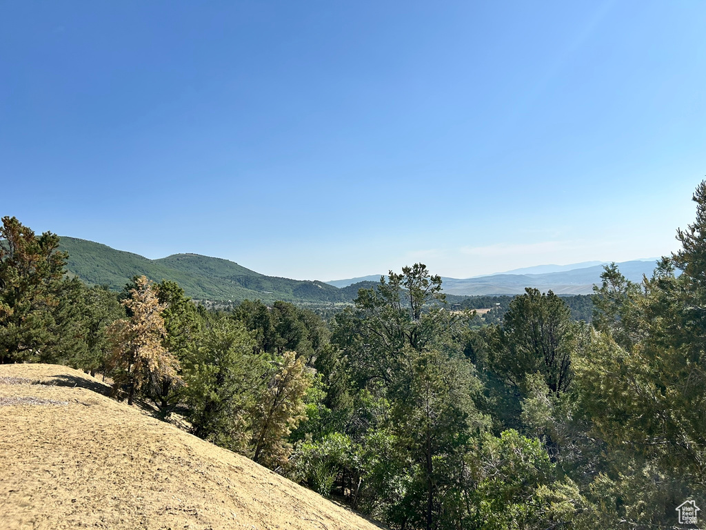 280  SHADOW CANYON DR Indianola, UT 84629