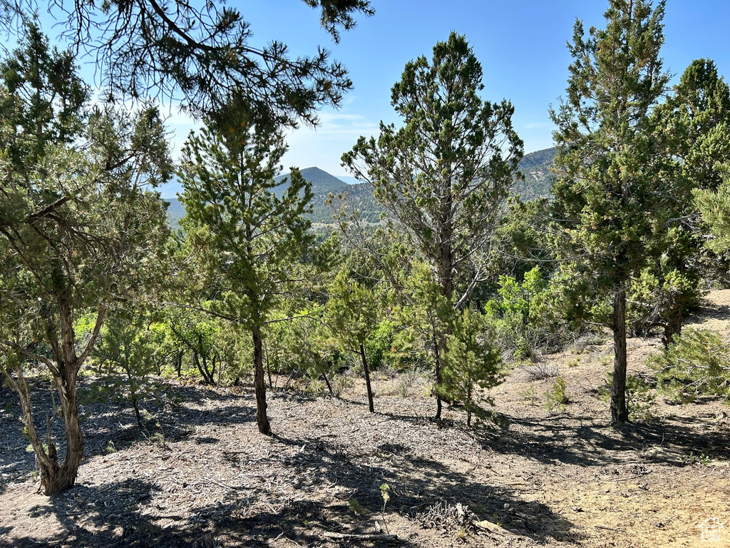 280  SHADOW CANYON DR Indianola, UT 84629