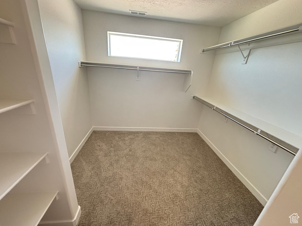 Walk in closet featuring carpet