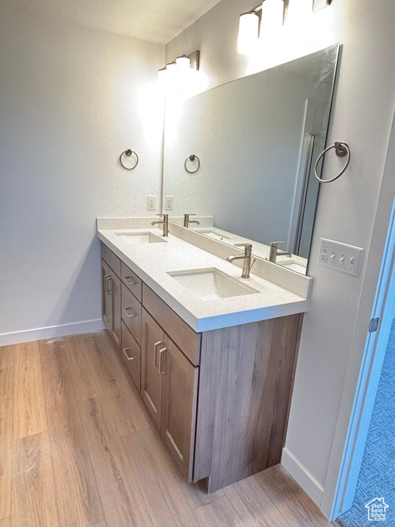 Bathroom with wood finished floors and double vanity