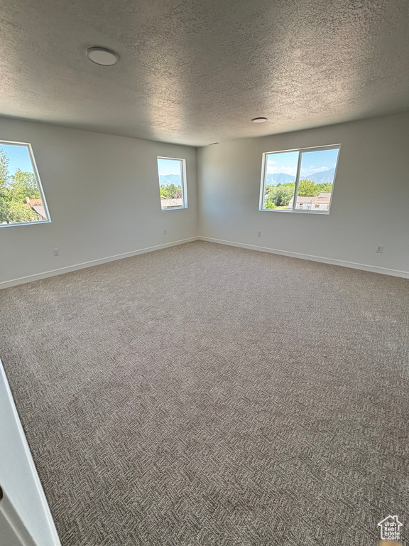 Unfurnished room featuring a textured ceiling and carpet