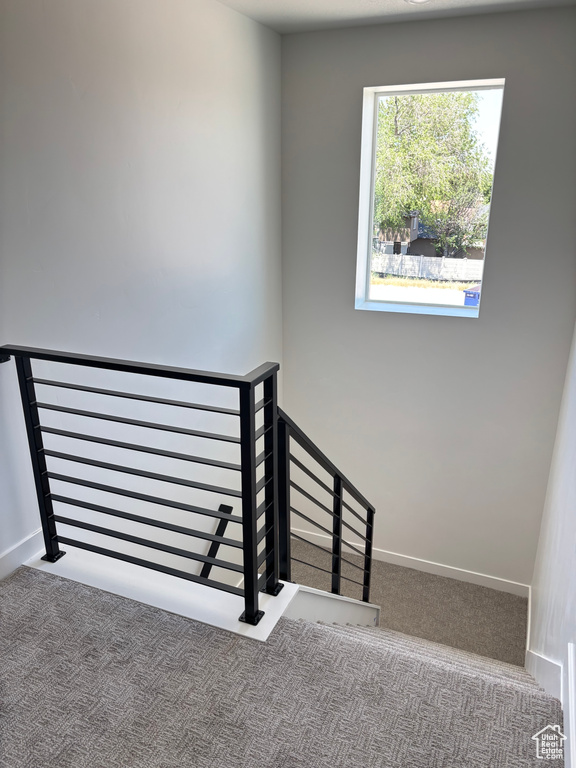 Staircase featuring carpet