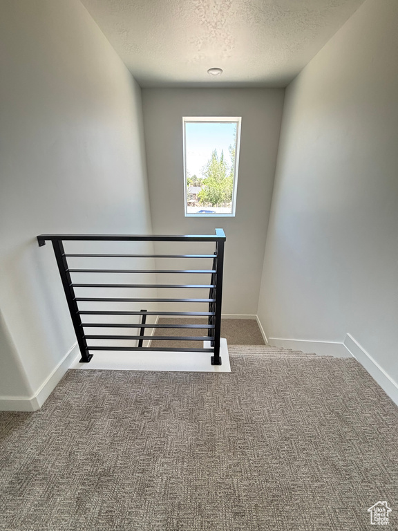 Staircase featuring carpet flooring and a textured ceiling