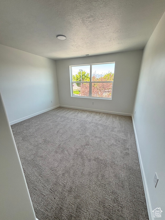Unfurnished room with carpet and a textured ceiling