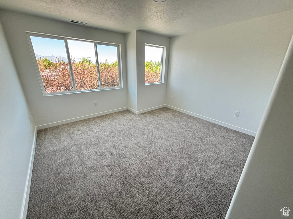 Carpeted spare room featuring a textured ceiling and baseboards