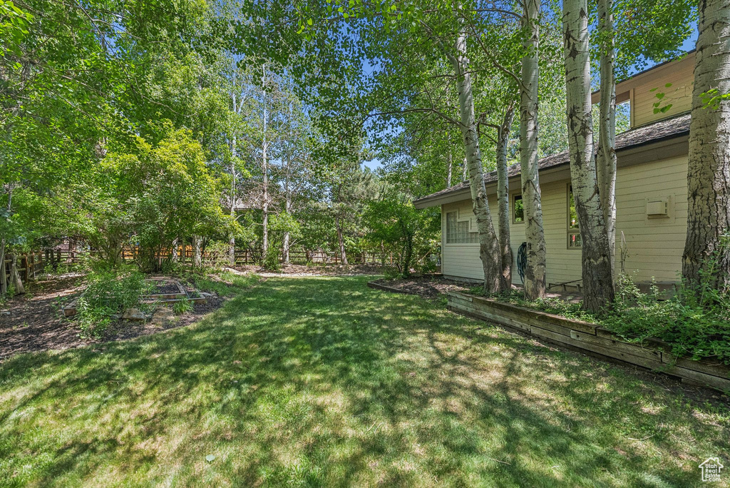 View of grassy yard
