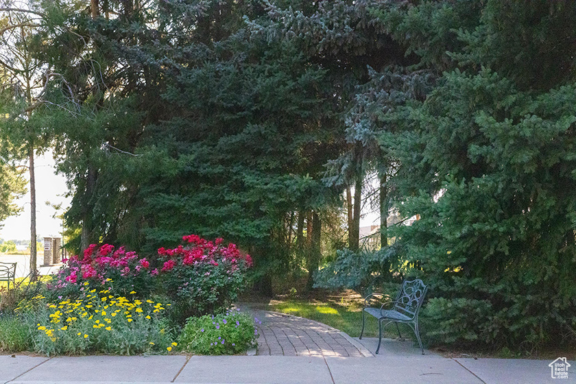 Surrounding community with a patio area