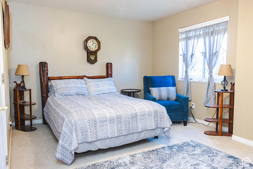 Bedroom with carpet and baseboards
