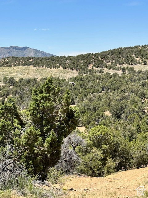 View of mountain backdrop with a forest