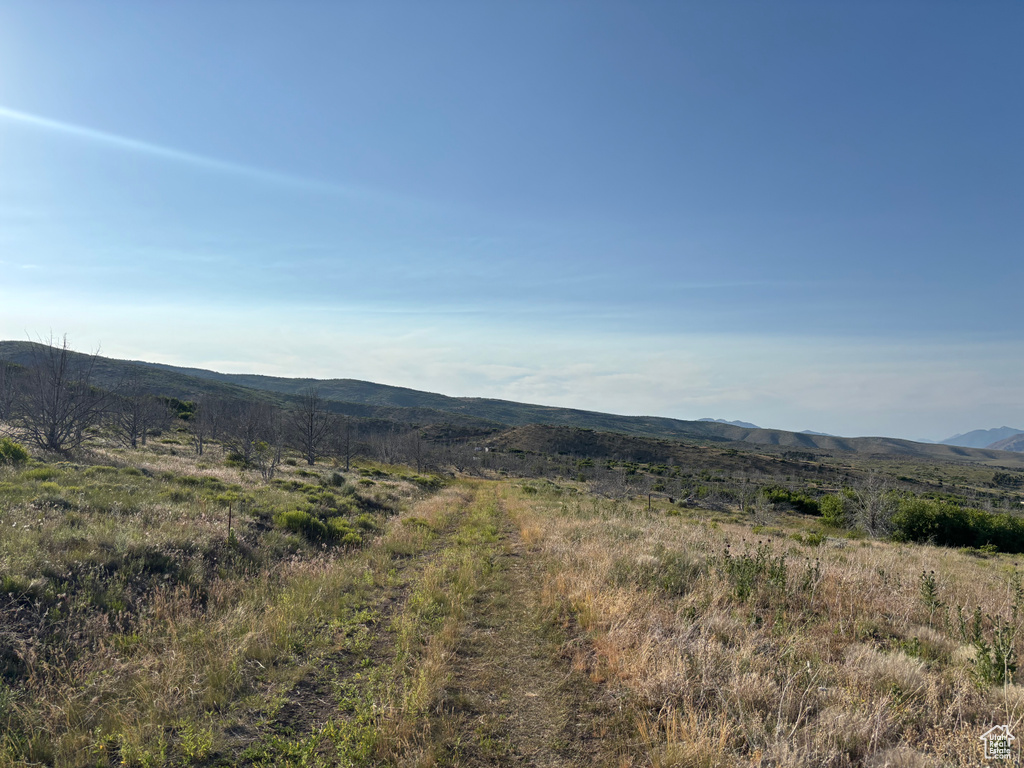 View of mountain background