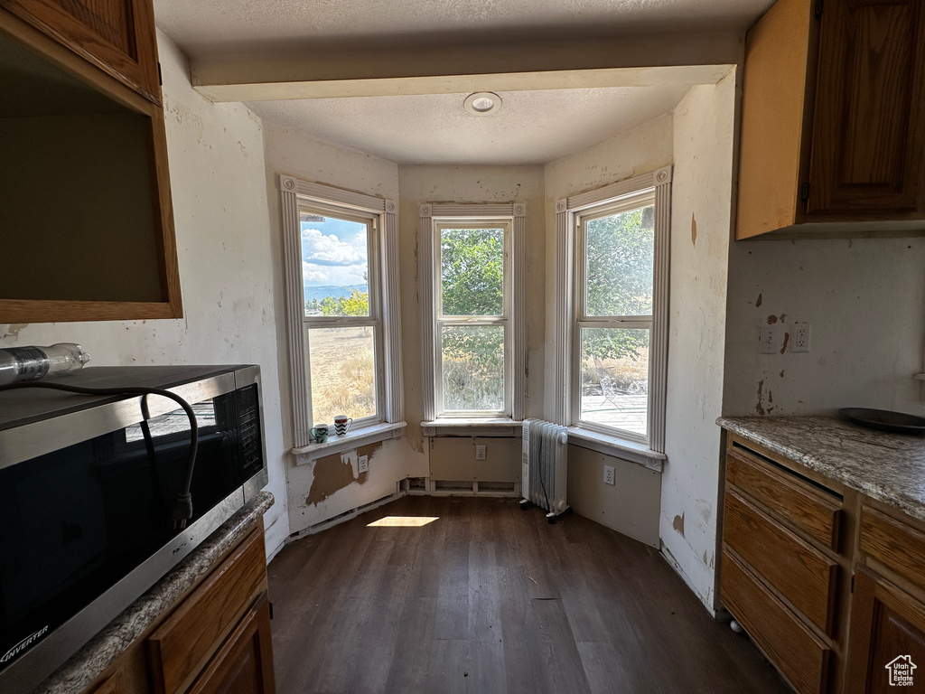 Kitchen with radiator heating unit, dark wood-style flooring, and stainless steel microwave