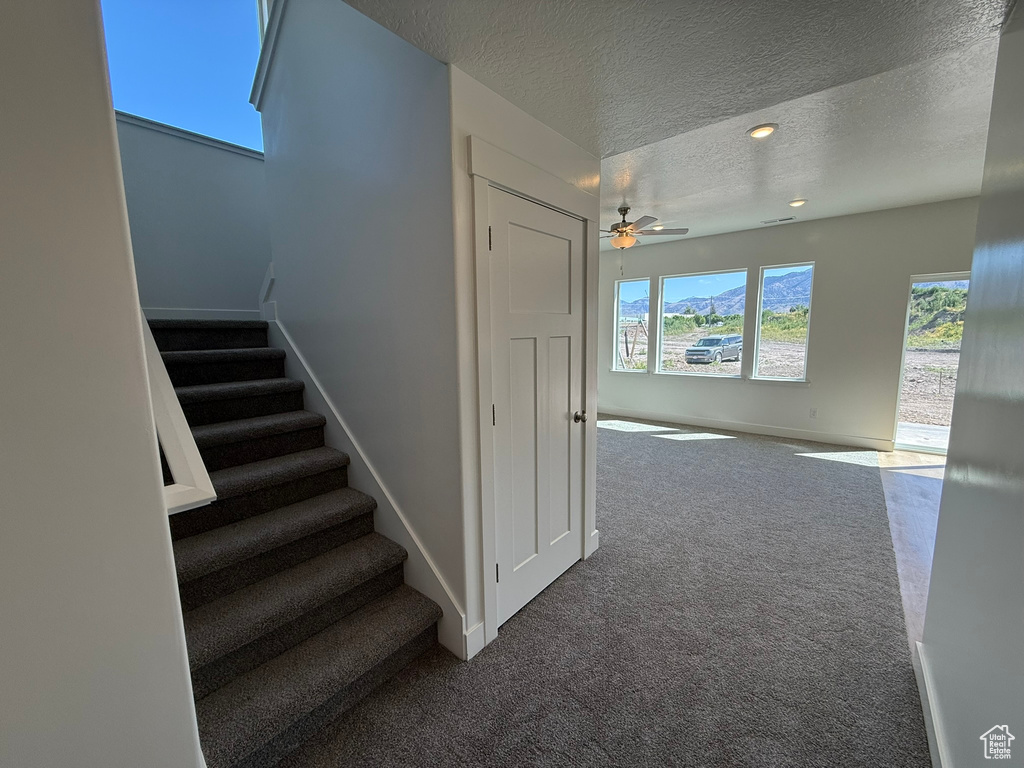 Stairway with a textured ceiling, carpet flooring, and ceiling fan
