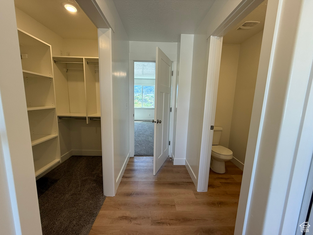 Bathroom with toilet and wood finished floors