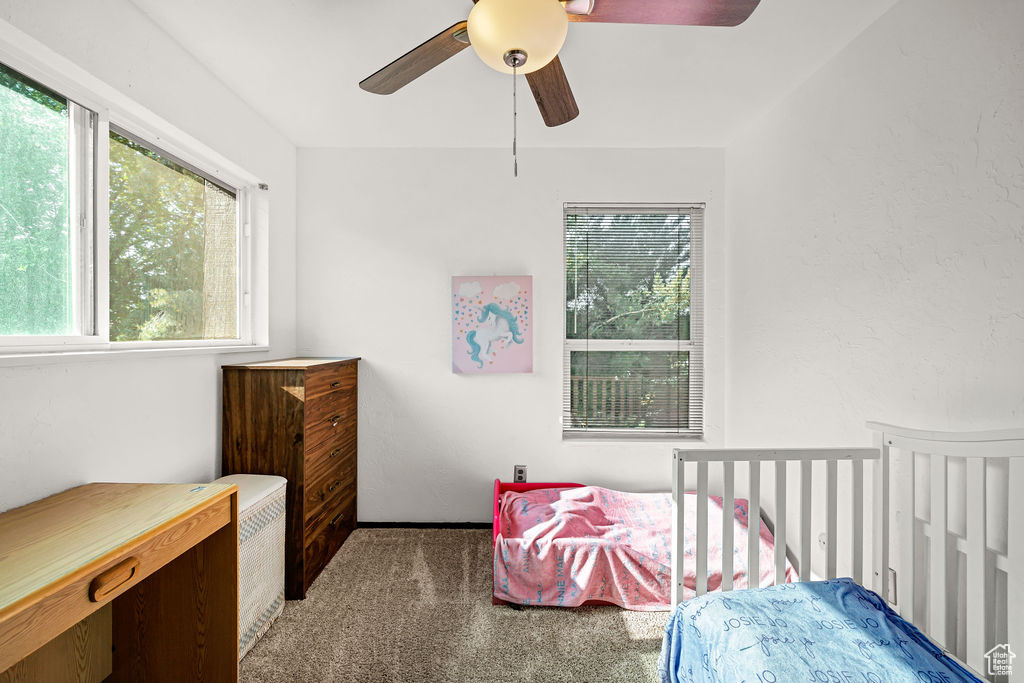Bedroom featuring carpet floors, multiple windows, and a ceiling fan