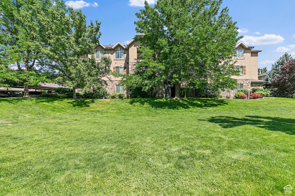 View of green lawn