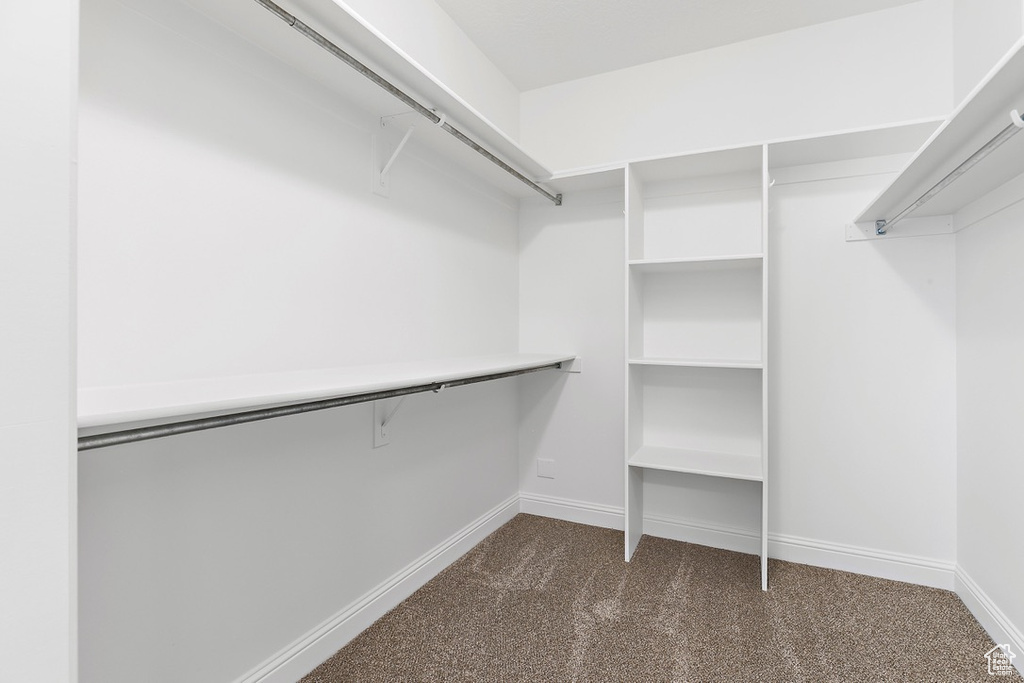 Spacious closet featuring dark colored carpet
