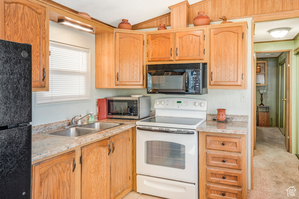 Kitchen featuring black appliances, light countertops, and light colored carpet