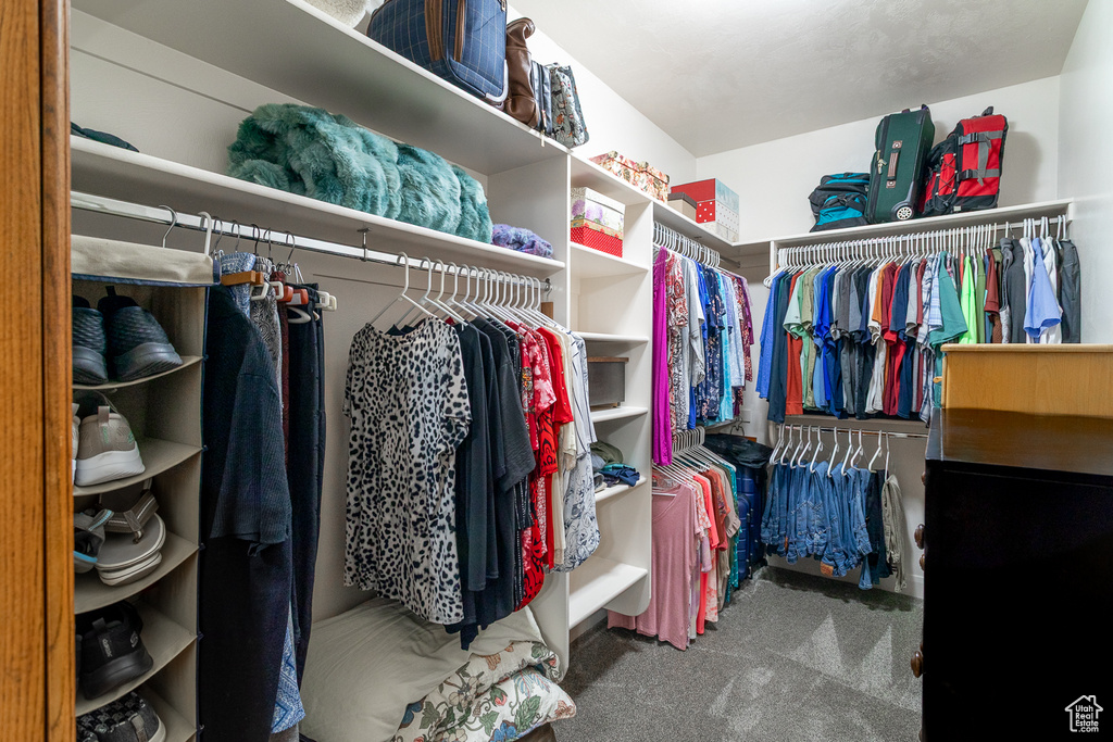 Walk in closet with carpet flooring