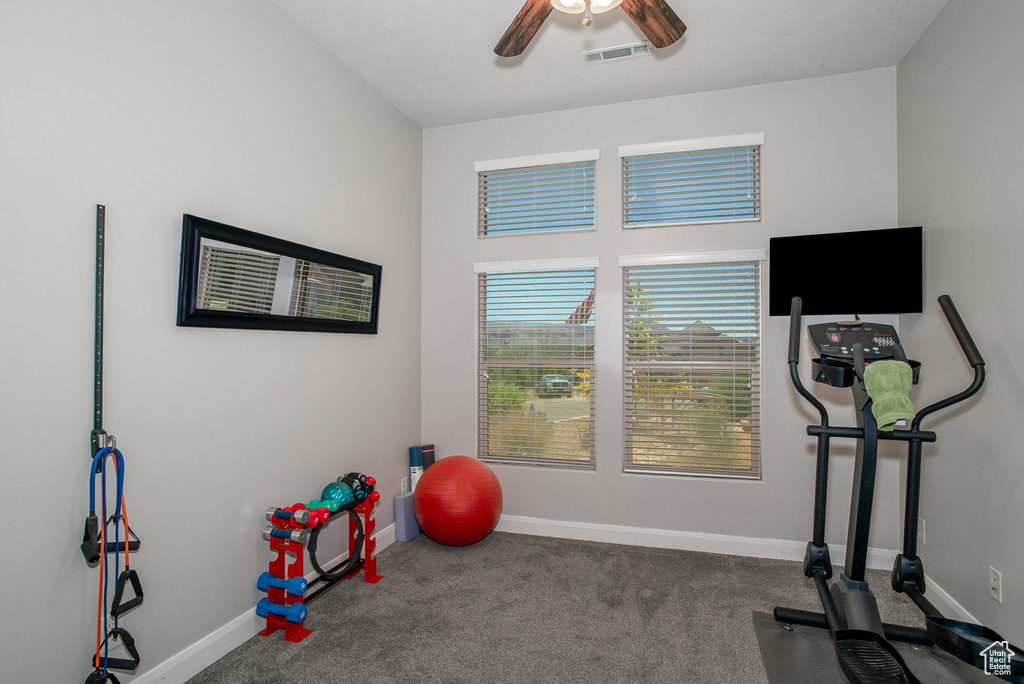 Exercise area featuring ceiling fan and carpet floors