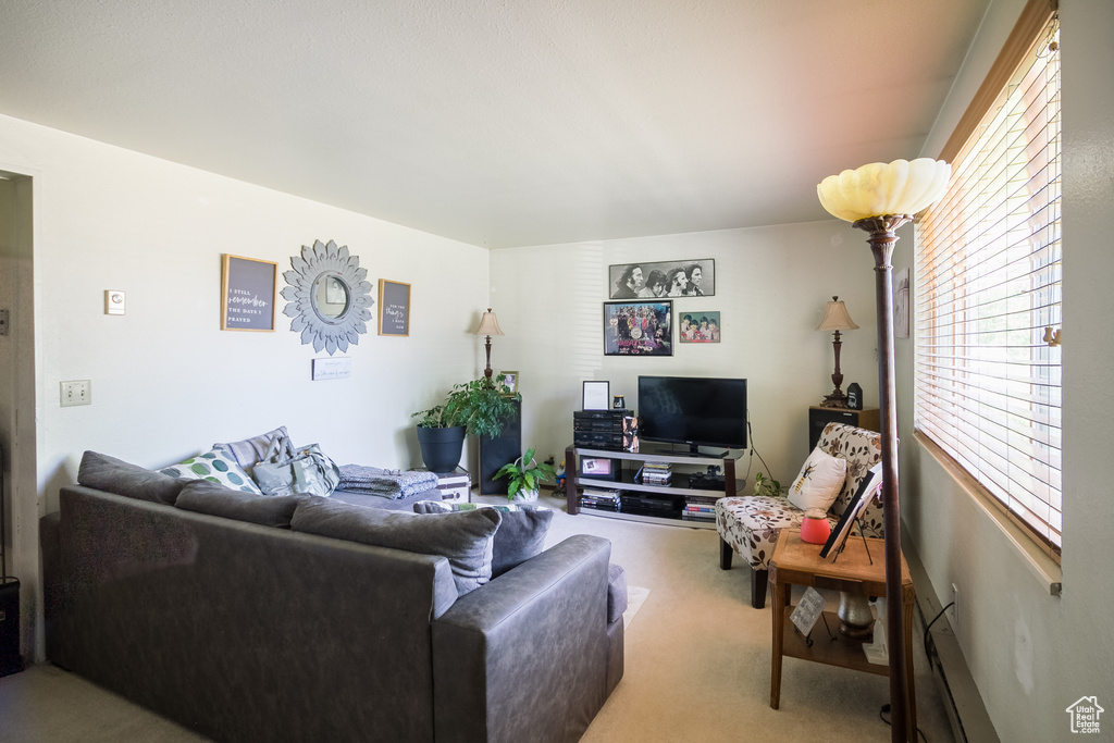 Living room featuring carpet flooring